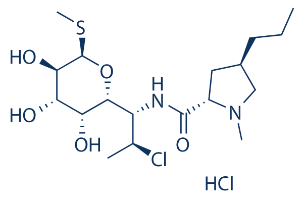 Clindamycin HCl  Chemical Structure